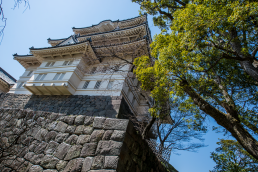 Odawara Castle